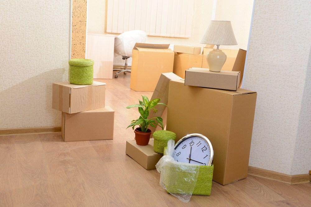 Professional Movers Toronto