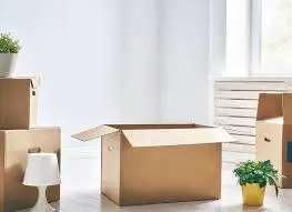Professional Movers Toronto