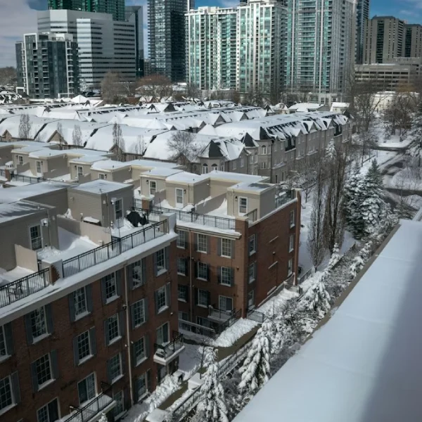 north york feature img